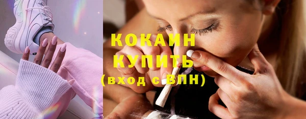 дмт Дмитровск