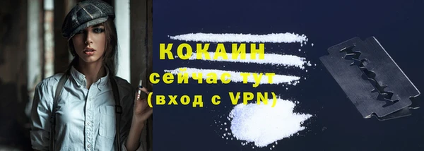 ГАЛЛЮЦИНОГЕННЫЕ ГРИБЫ Пересвет