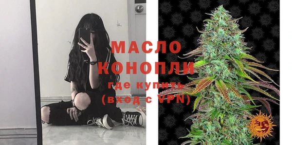 стаф Дмитров