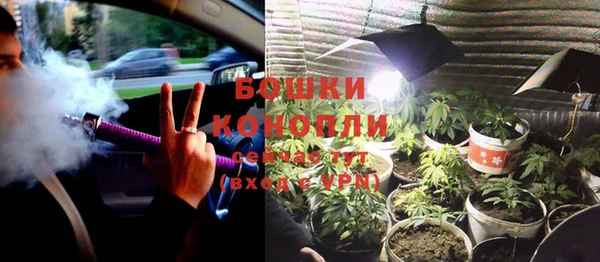 стаф Дмитров