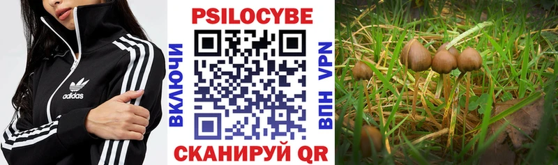 Галлюциногенные грибы мицелий  Кыштым 