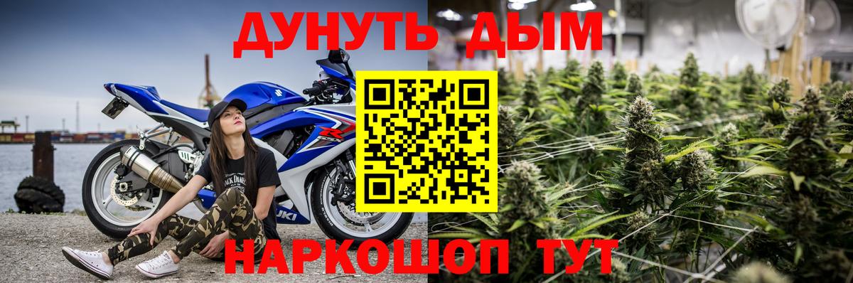 Каннабис планчик  Бошки марихуана THC 21%  Каннабис индика  Кыштым 